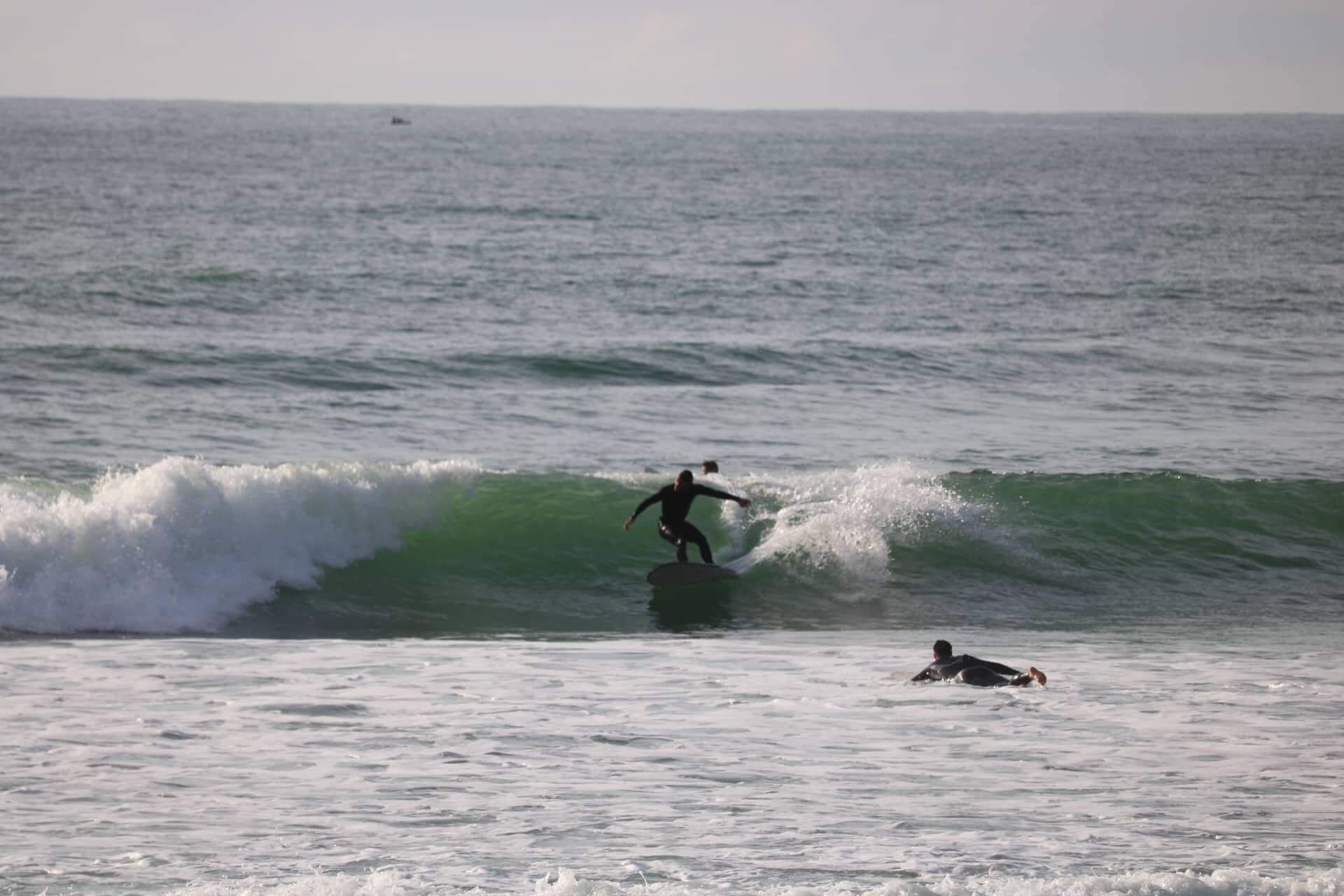 Dead Hippie. 7'0 - Image 10